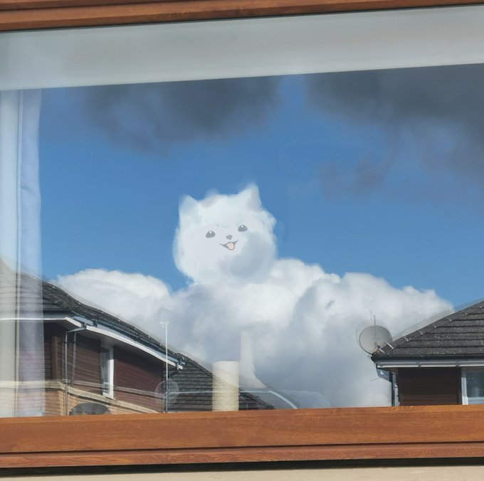 Samoyed Groomer Is Always Watching... #clawsnchaos