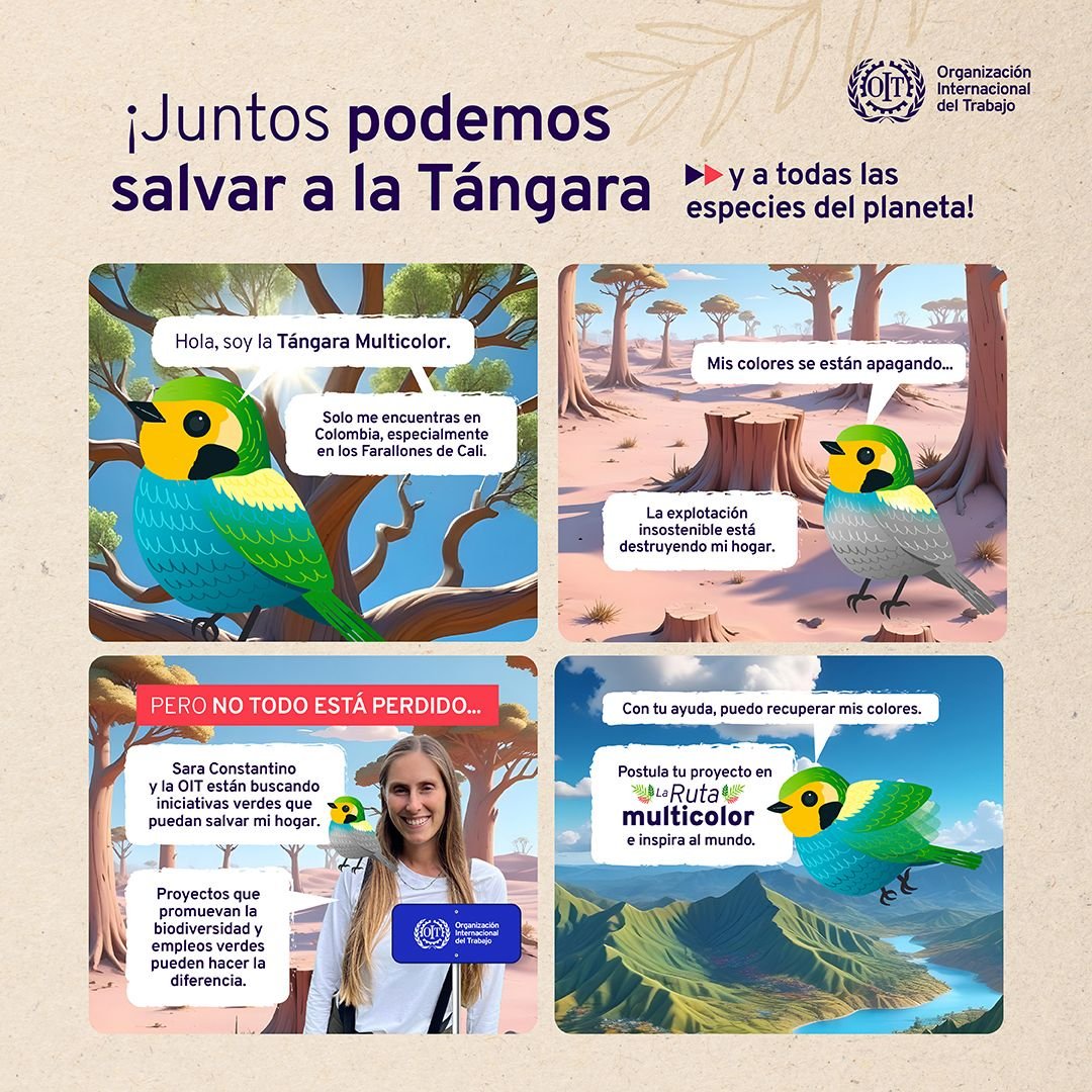 🪹 ¡Bienvenidos a la Ruta Multicolor #RumboalaCOP16!

¿Quieres ser parte?

Únete a Sara Constantino y a la #OIT en esta Ruta e inspira a Colombia🇨🇴 y al mundo🌎

ℹ️ilo.org/es/ruta-multic…