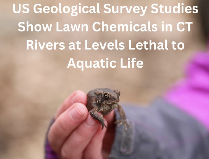Pollinator_NN's tweet photo. Connecticut's rivers are at risk from harmful neonicotinoid pesticides. To learn more about the project and double your donation with Sustainable CT’s Match visit https://t.co/Lq298rvvDh https://t.co/gJxokwKBuu