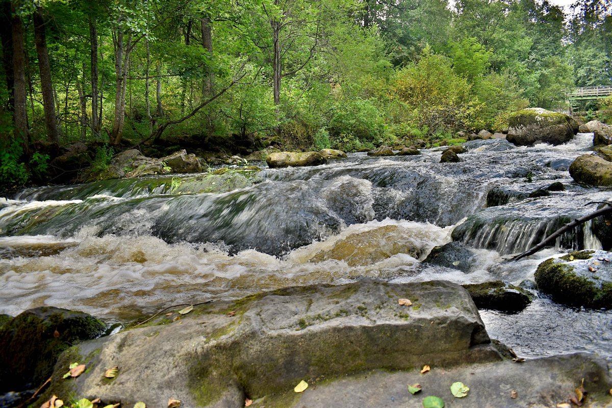Nukari rapids, this morning…