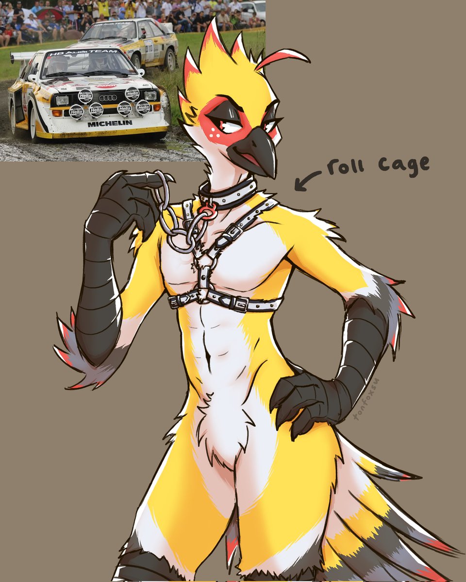 rally bird