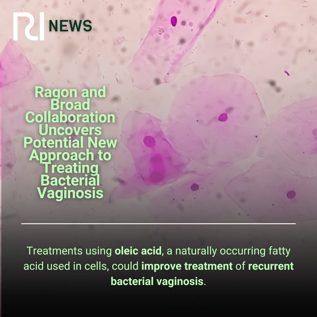 Ragon Institute (@ragoninstitute) on Twitter photo Researchers from the Ragon Institute, the Broad Institute, and St. Jude Children’s Research Hospital have discovered that oleic acid restores a healthy balance of vaginal microbes in a laboratory model of bacterial vaginosis.
<a href="/kwonlab/">Doug Kwon</a>
Read more at: ragoninstitute.org/latest-news/a-… Researchers from the Ragon Institute, the Broad Institute, and St. Jude Children’s Research Hospital have discovered that oleic acid restores a healthy balance of vaginal microbes in a laboratory model of bacterial vaginosis.
<a href="/kwonlab/">Doug Kwon</a>
Read more at: ragoninstitute.org/latest-news/a-…