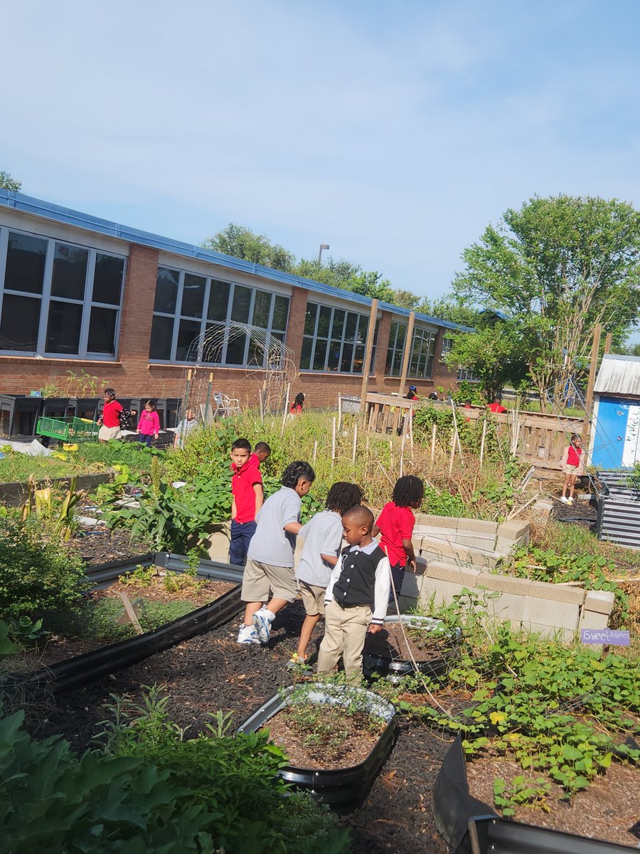 Clifford Lee tweet media