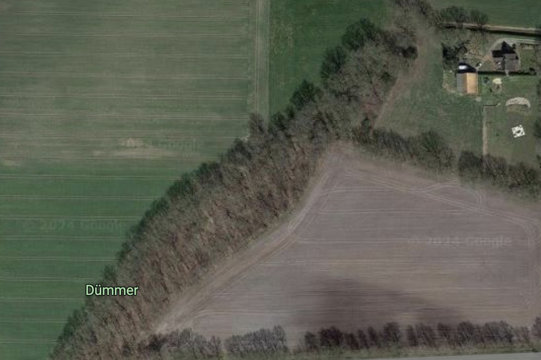 blindwriter tweet media