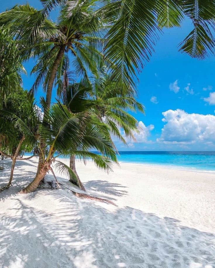Efrain๐ค๐๐โโ๏ธ (@efrain1_d) on Twitter photo Good morning my friends, happy new week ๐
God bless you ๐๐คฒ
๐ฆญ๐๐ฆ๐ฆญ๐๐ฆ๐ฆญ๐๐ฆ๐ฆญ๐๐ฆ๐ฆญ๐๐ฆ๐ฆญ๐๐ฆ๐ฆญ๐
#PuertoRico ๐
<a href="/Soy_Donna_/">๐ฆ๐ทโกDonnaโก๐ฆ๐ท๐Sra de Morales ๐๐</a>๐I love you๐๐๐ฅฐ
<a href="/Efrain2__/">Efrain๐ค๐๐โโ๏ธ</a> โค๏ธ
<a href="/LuDonna_/">๐
Donna๐
๐Sra de Morales๐๐</a> ๐I love you๐๐๐ฅฐ
<a href="/Efrain1_D/">Efrain๐ค๐๐โโ๏ธ</a>โค๏ธ
<a href="/DonnaEfrain/">DonnaEfrain</a> ๐ผ
<a href="/DE_SILVIA_T/">๐ซถ๐๐ฆ๐๐๐</a> ๐บ
<a href="/Atlanna__/">๐ซถ๎จSIL๎จ๐ซถ</a> ๐ธ
<a href="/NairaEyen/">*.*๐Naira๐*.*</a> ๐ค
<a href="/NaiaraEyen/">๐ฆฦAIARA๐ฆ</a>๐ผ๐ป Good morning my friends, happy new week ๐
God bless you ๐๐คฒ
๐ฆญ๐๐ฆ๐ฆญ๐๐ฆ๐ฆญ๐๐ฆ๐ฆญ๐๐ฆ๐ฆญ๐๐ฆ๐ฆญ๐๐ฆ๐ฆญ๐
#PuertoRico ๐
<a href="/Soy_Donna_/">๐ฆ๐ทโกDonnaโก๐ฆ๐ท๐Sra de Morales ๐๐</a>๐I love you๐๐๐ฅฐ
<a href="/Efrain2__/">Efrain๐ค๐๐โโ๏ธ</a> โค๏ธ
<a href="/LuDonna_/">๐
Donna๐
๐Sra de Morales๐๐</a> ๐I love you๐๐๐ฅฐ
<a href="/Efrain1_D/">Efrain๐ค๐๐โโ๏ธ</a>โค๏ธ
<a href="/DonnaEfrain/">DonnaEfrain</a> ๐ผ
<a href="/DE_SILVIA_T/">๐ซถ๐๐ฆ๐๐๐</a> ๐บ
<a href="/Atlanna__/">๐ซถ๎จSIL๎จ๐ซถ</a> ๐ธ
<a href="/NairaEyen/">*.*๐Naira๐*.*</a> ๐ค
<a href="/NaiaraEyen/">๐ฆฦAIARA๐ฆ</a>๐ผ๐ป