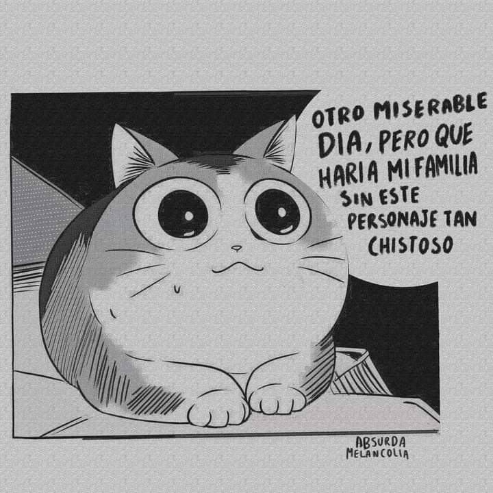 Absurda Melancolía (@absurdamela) on Twitter photo 