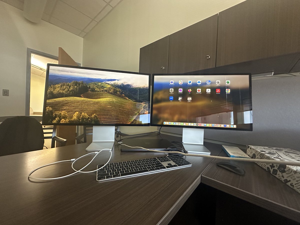 Joao Pereira tweet media