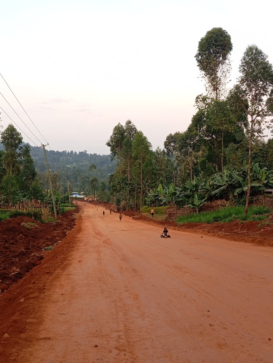 21Rockefeller's tweet photo. I'm at the exact place complete with the slanting electric pole and banana bush. 

However, people here are saying the construction started more than a month ago so the time stamp on @HusseinMohamedg 's photos is FALSE. https://t.co/kf6HNVRAXS