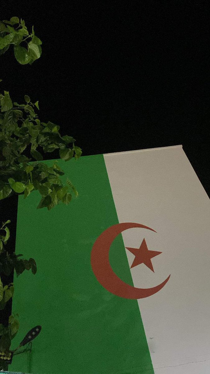 Sofiane ⵣ🇩🇿🇵🇸 tweet media