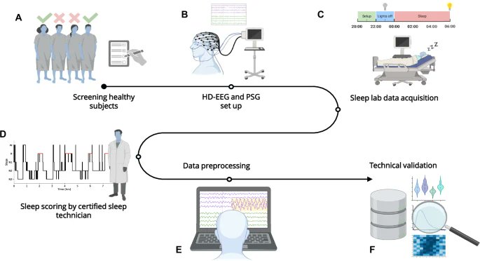 The AnPhy Lab (@anphylab) on Twitter photo 🚨 Exciting News! 🚨 ANPHY-SLeep: An open sleep database from healthy adults using high-density scalp EEG is now published in <a href="/ScientificData/">Scientific Data</a> <a href="/NaturePortfolio/">Nature Portfolio</a> ! 🧠💤 #OpenScience #SleepResearch #EEG
Access the data here:
👉 doi.org/10.17605/osf.i…
👉nature.com/articles/s4159… 🚨 Exciting News! 🚨 ANPHY-SLeep: An open sleep database from healthy adults using high-density scalp EEG is now published in <a href="/ScientificData/">Scientific Data</a> <a href="/NaturePortfolio/">Nature Portfolio</a> ! 🧠💤 #OpenScience #SleepResearch #EEG
Access the data here:
👉 doi.org/10.17605/osf.i…
👉nature.com/articles/s4159…