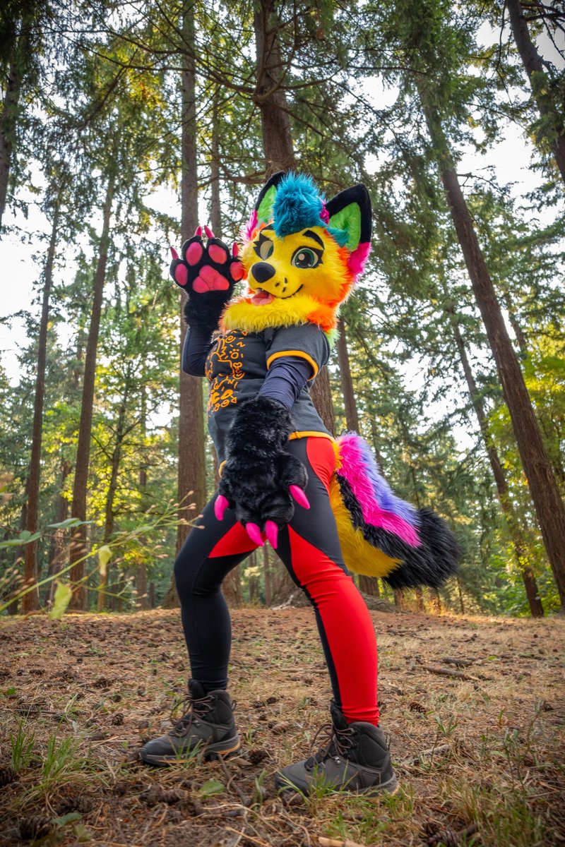 rainwulff's tweet photo. Isn’t it nice just being a sparkle dog in a forest ? Yes it is 

📸 and edits @AshCoyote https://t.co/vZuq0cBotg