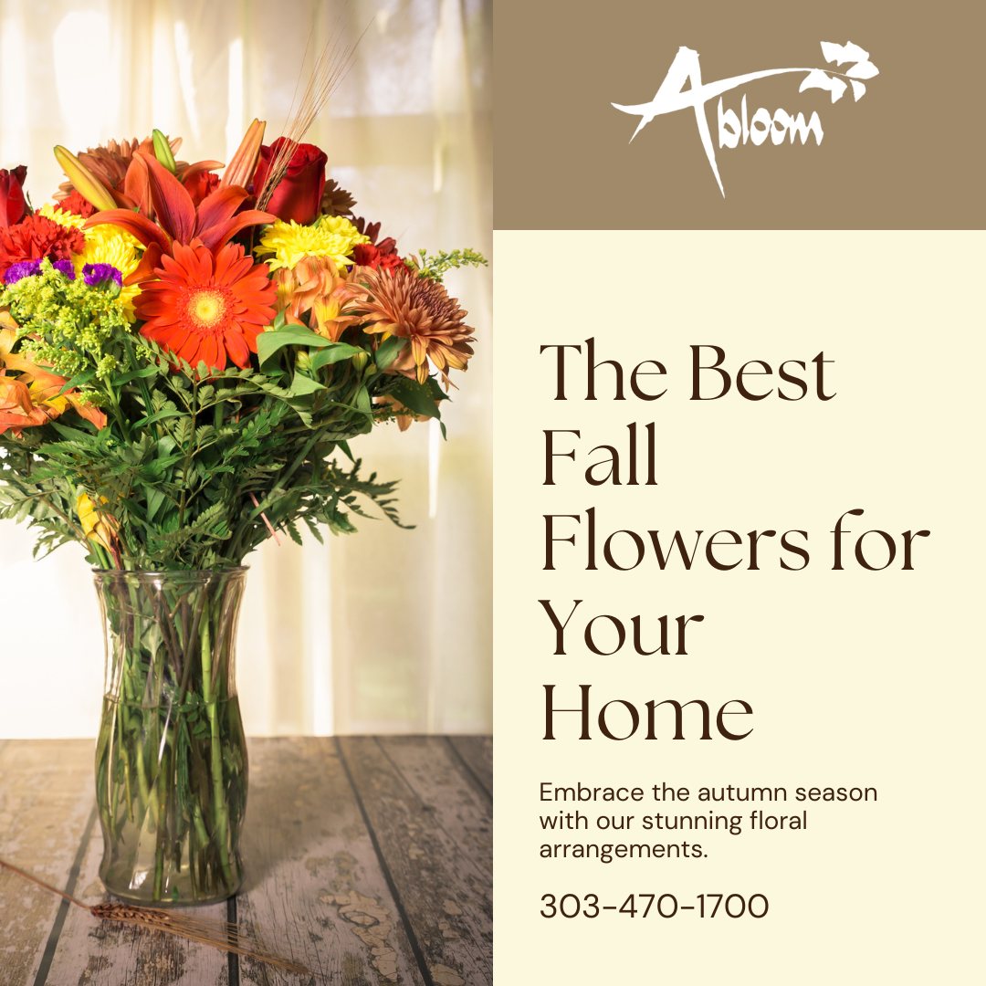 Fall is approaching here real soon! 🍂

Whether you're decorating your home for fall festivities or surprising a loved one with a thoughtful gift, our talented florists are here to craft the perfect arrangement for any occasion.

Call 303-470-1700 or go to AbloomHighlandsRanch.com