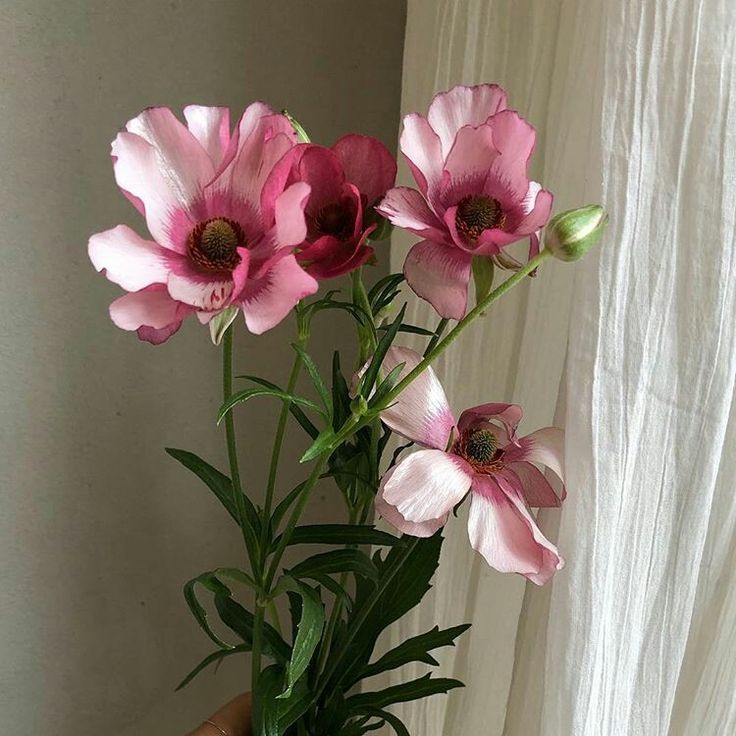 onlyyouforeveer's tweet image. 