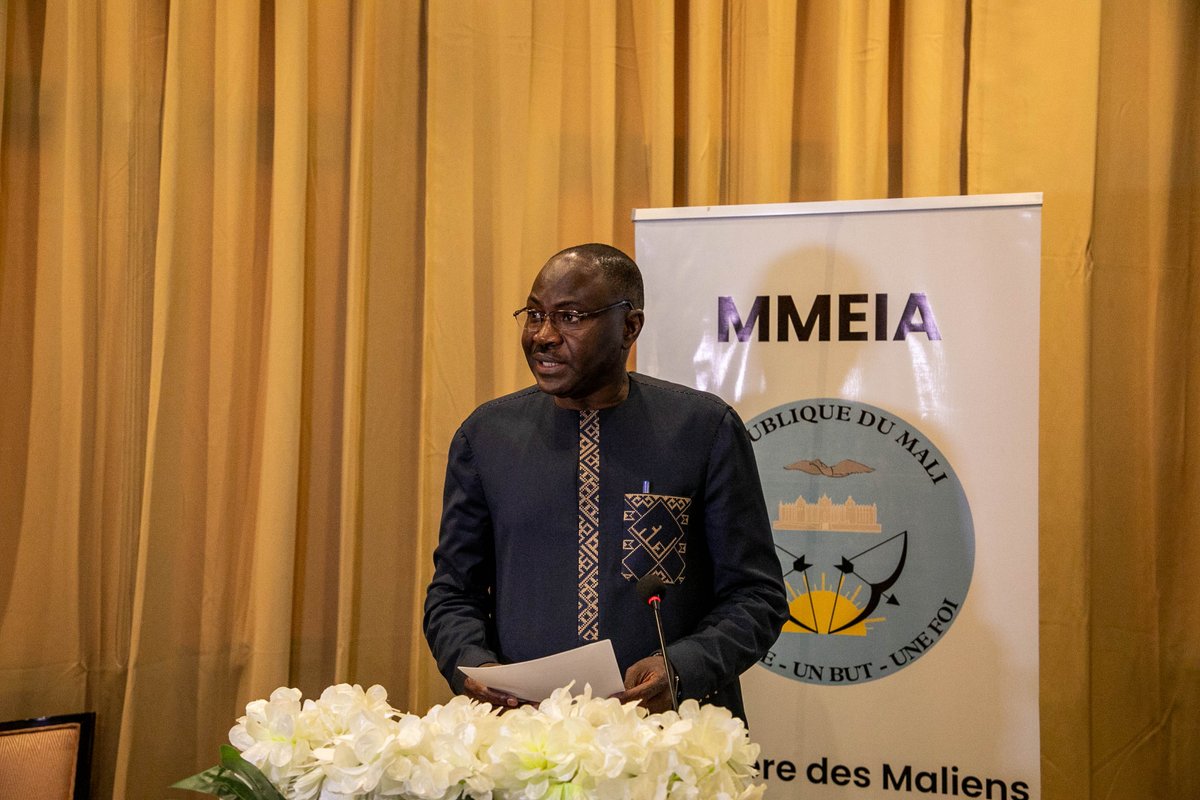 PNUDMALI's tweet photo. @GouvernementM et @PNUDMALI lancent l’institutionnalisation de l'initiative #TOKTEN via le projet "Appui à la capitalisation du programme TOKTEN" pour un développement social inclusif. Objectif : mobiliser l'expertise de la diaspora malienne pour le développement national. https://t.co/PbAFJpYj7A