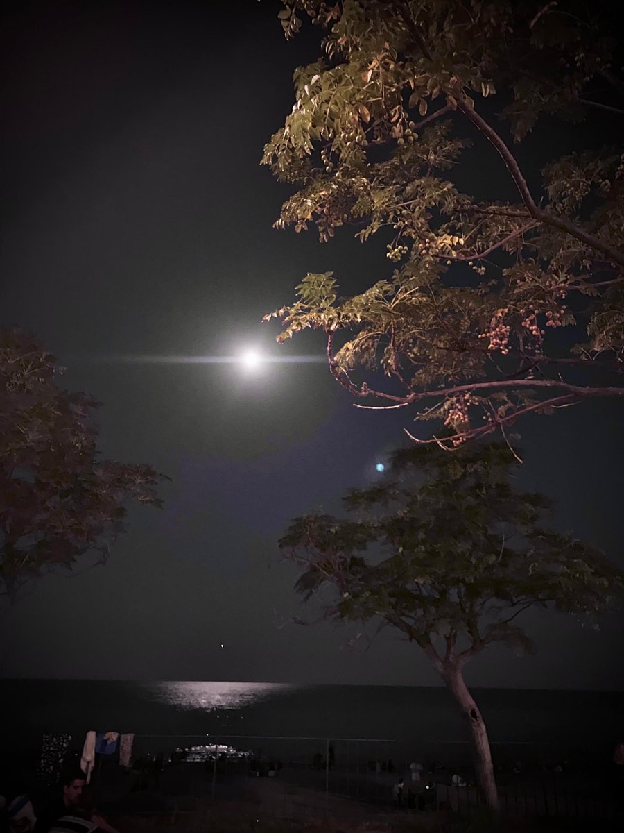 Hakan (@hakankgn007) on Twitter photo 