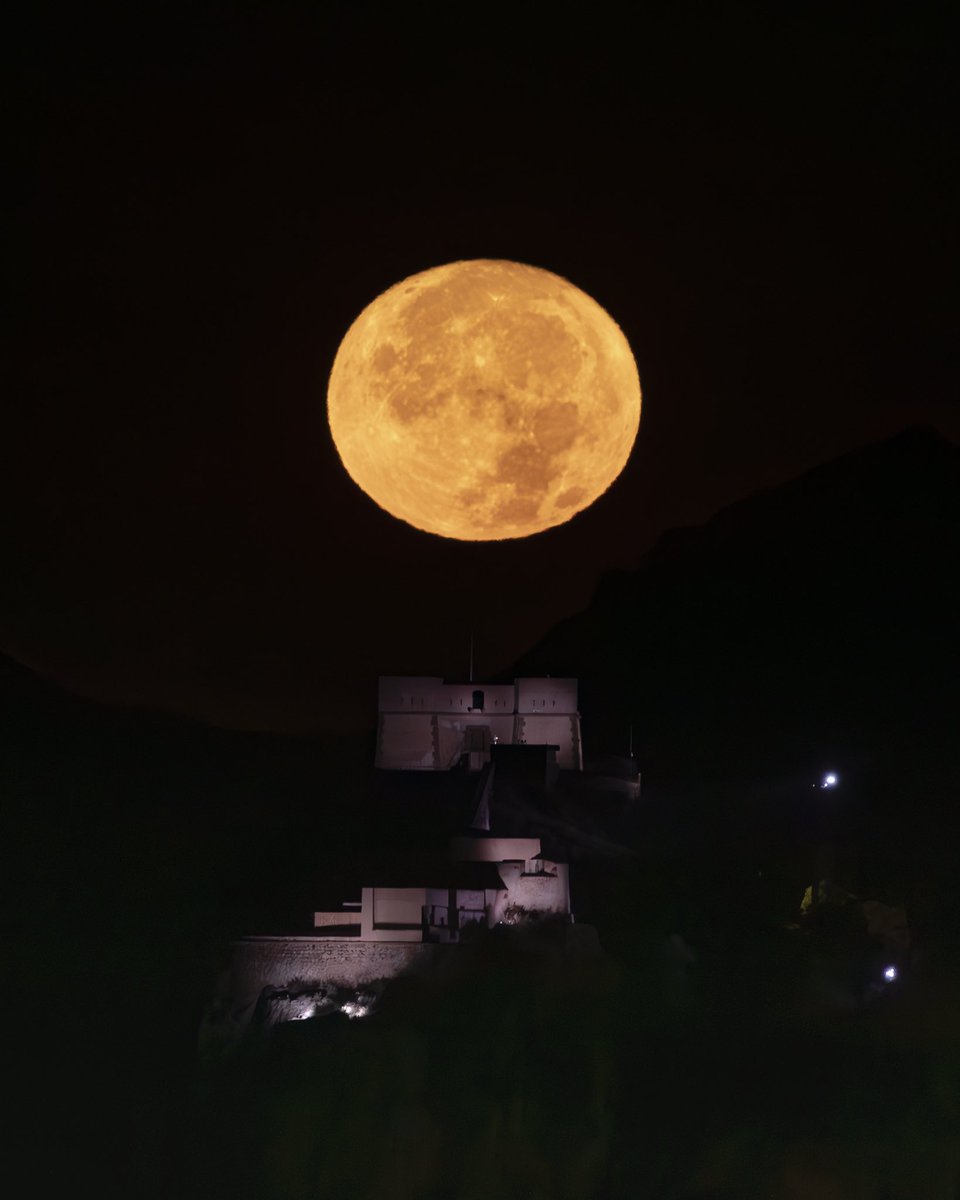 Pedro Semitiel tweet media