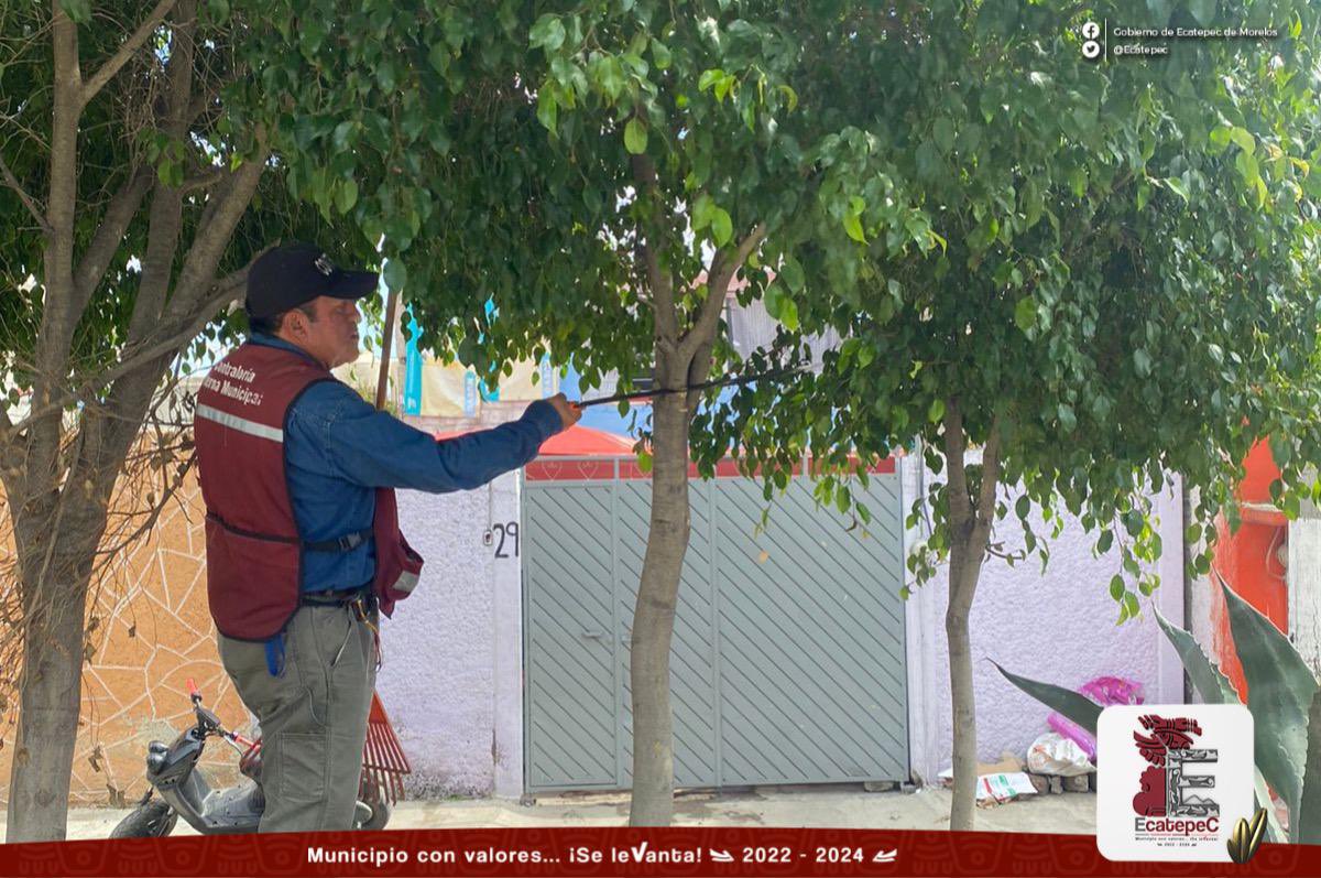 Gracias al programa de Recuperación de Espacios Públicos y Mejoramiento Urbano, nos sumamos con mucho entusiasmo a la jornada de limpieza, por un #EcatepecMásLimpio. 🧹 🌱

#MunicipioConValores