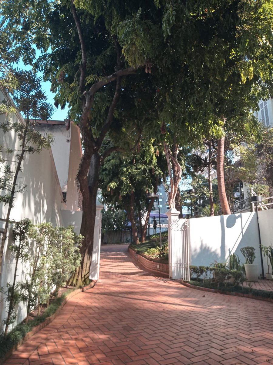 Casa das Rosas tweet media