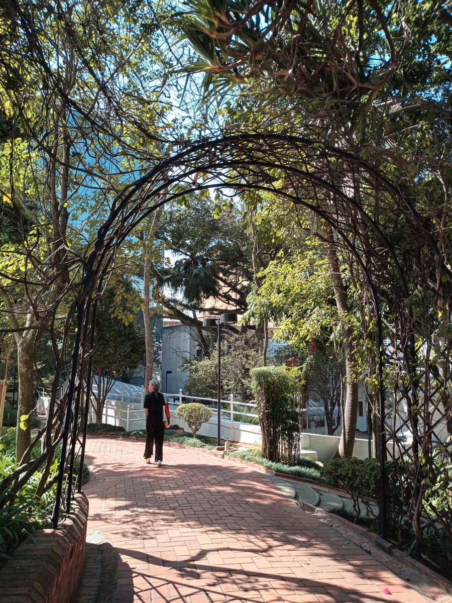 Casa das Rosas tweet media