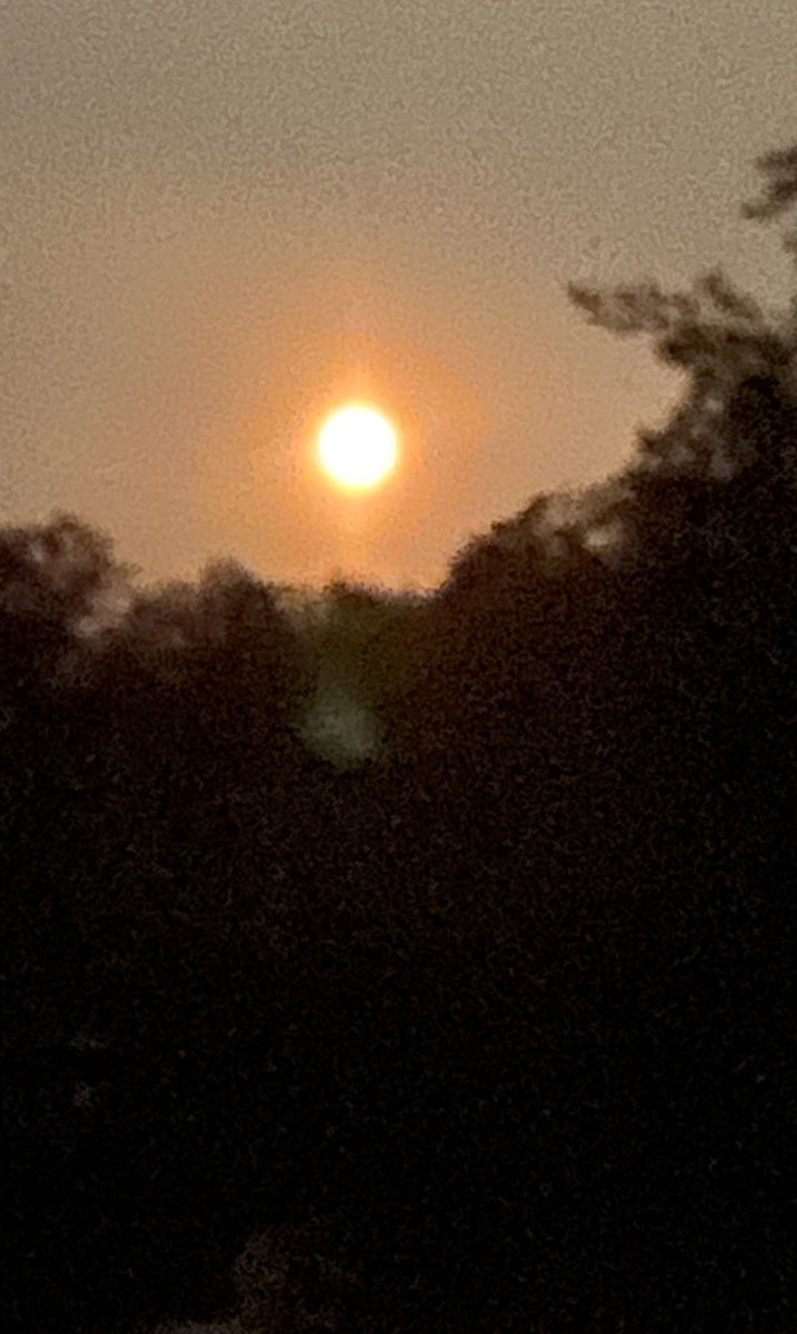 Klaas de Jong tweet media