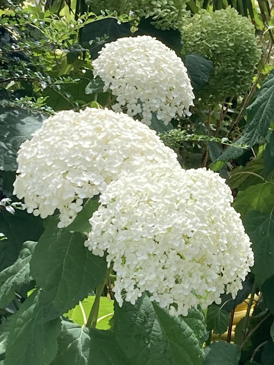 MimiMichelle9's tweet image. #Marc #Inconsolable 💔🙏💔🙏💔🙏💔🙏💔🙏💔🙏💔🙏💔🙏💔🙏💔🙏💔💔💔💔💔💔💔💔💔💔💔💔💔💔💔💔💔💔💔💔💔💔💔💔 💔💔💔💔💔