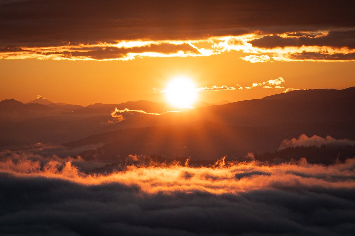 theoutdoors's tweet photo. Sunrise at Spencer Butte outside of Eugene, Oregon with views of the Oregon Cascades.
#sunrise #springfieldoregon #eugeneoregon #oregoncascades #mtjefferson #mtwashington #hiking #hikeoregon #pursuelifeoutdoors #exploreoregon #oregonexplored #pnw #pnwlife #pnwisbeautiful #pnwisbest