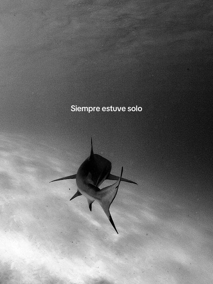 Bandidosfrasess's tweet photo. https://t.co/N0oTID3yCz