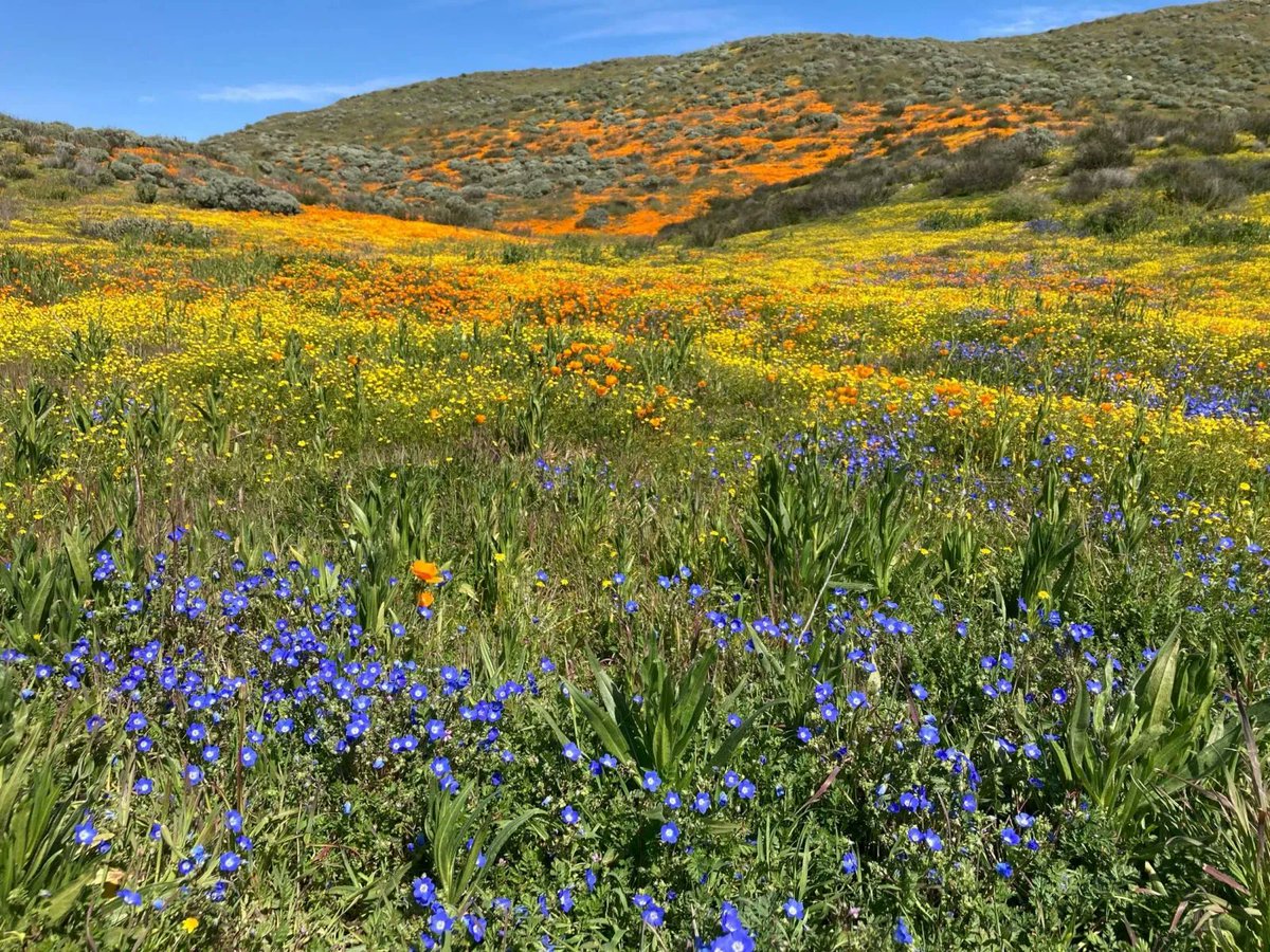 UCSD BioSciences tweet media