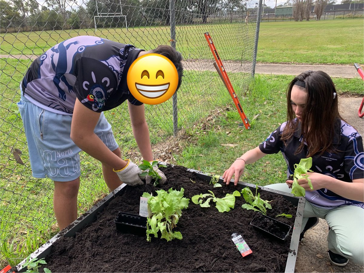 Nothing like spreading a bit of horse 💩 and planting some veg to clear the mind and calm the soul 🥬🌽🥒💚 Lawrence Hargraves School students planting out a couple of waterups wicking beds ready for spring #youthcommunitygreening