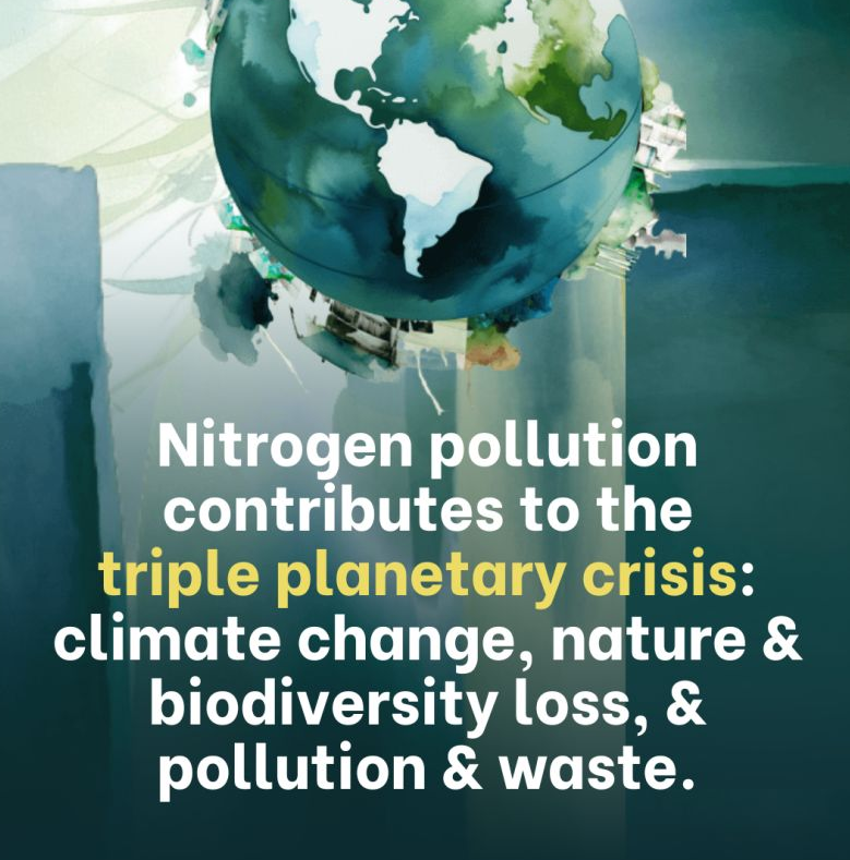 AnnaKavanaugh's tweet image. It is imperative by 2030 countries cooperate in an effective mitigation plan on nitrogen #pollution impacts. Human activity and interference have more than doubled reactive #nitrogen in our #environment with disastrous consequences. #ClimateActionNow    

unep.org/interactives/b…