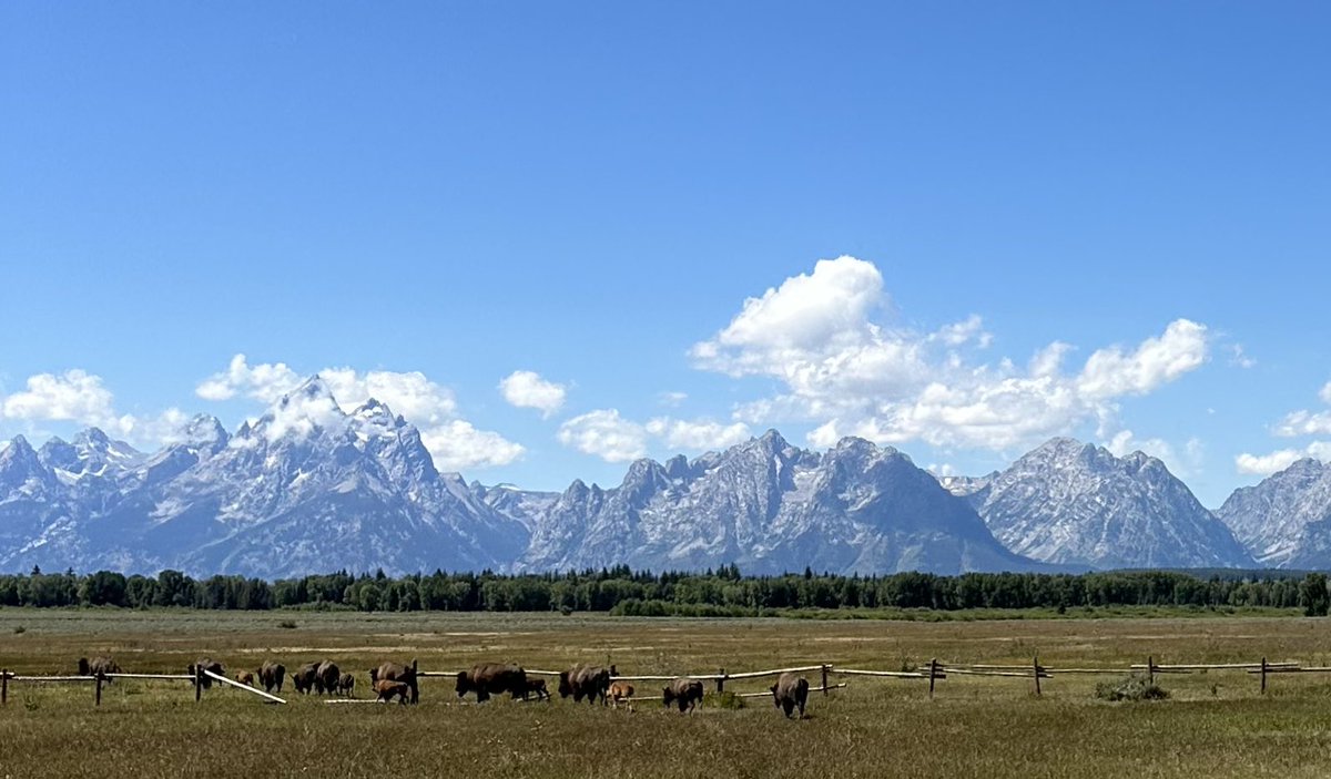Tridariuso's tweet photo. WYOMING CHILL https://t.co/w1gsKeeiwf