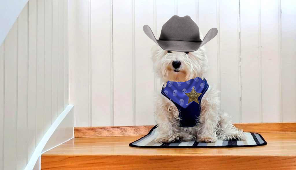 Rhona ... I am the Batgirl! tweet media