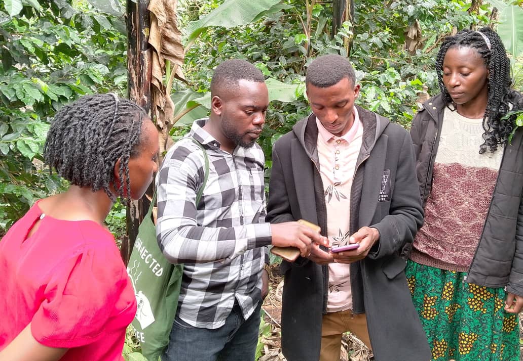Rwandarocoffee's tweet photo. Data-Driven Impact

Rwandaro Coffee Farmers Cooperative Society staff are leveling up! Our team is undergoing training on collecting farmer data to:

Improve data accuracy and analysis
Enhance decision-making and planning
Boost farmer profiling and targeting https://t.co/GB3E4px7WS
