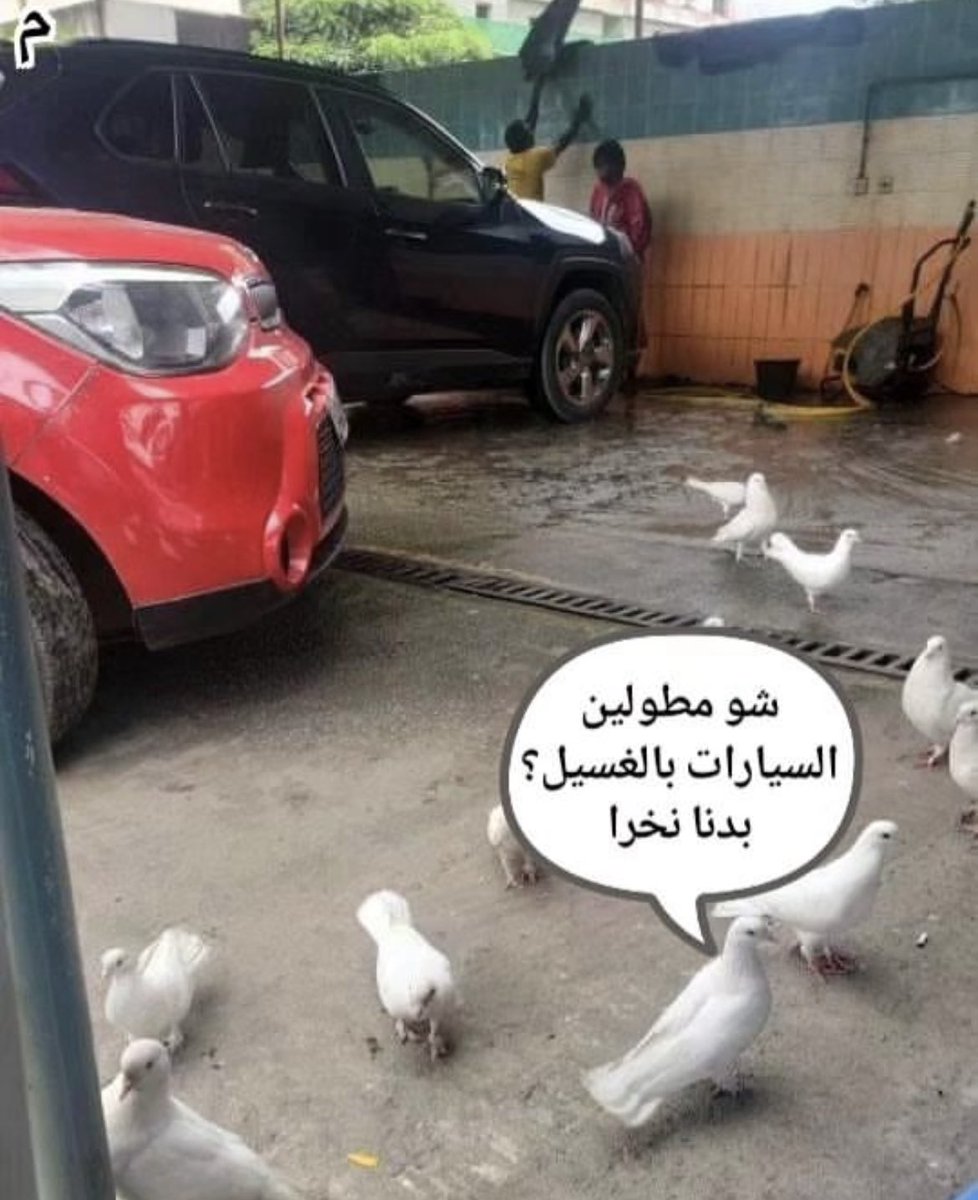 كتير ضحكت 😂😂😂