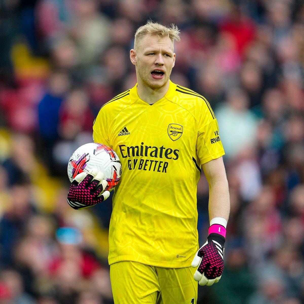 TalkingWolves's tweet photo. 🚨 #Wolves have submitted a proposal to sign Aaron Ramsdale from Arsenal. Initial loan move with an option to buy next summer. Wolves are ready to cover the majority of the goalkeeper's wages.

📰 @David_Ornstein | #WWFC https://t.co/P55YiUnkFm