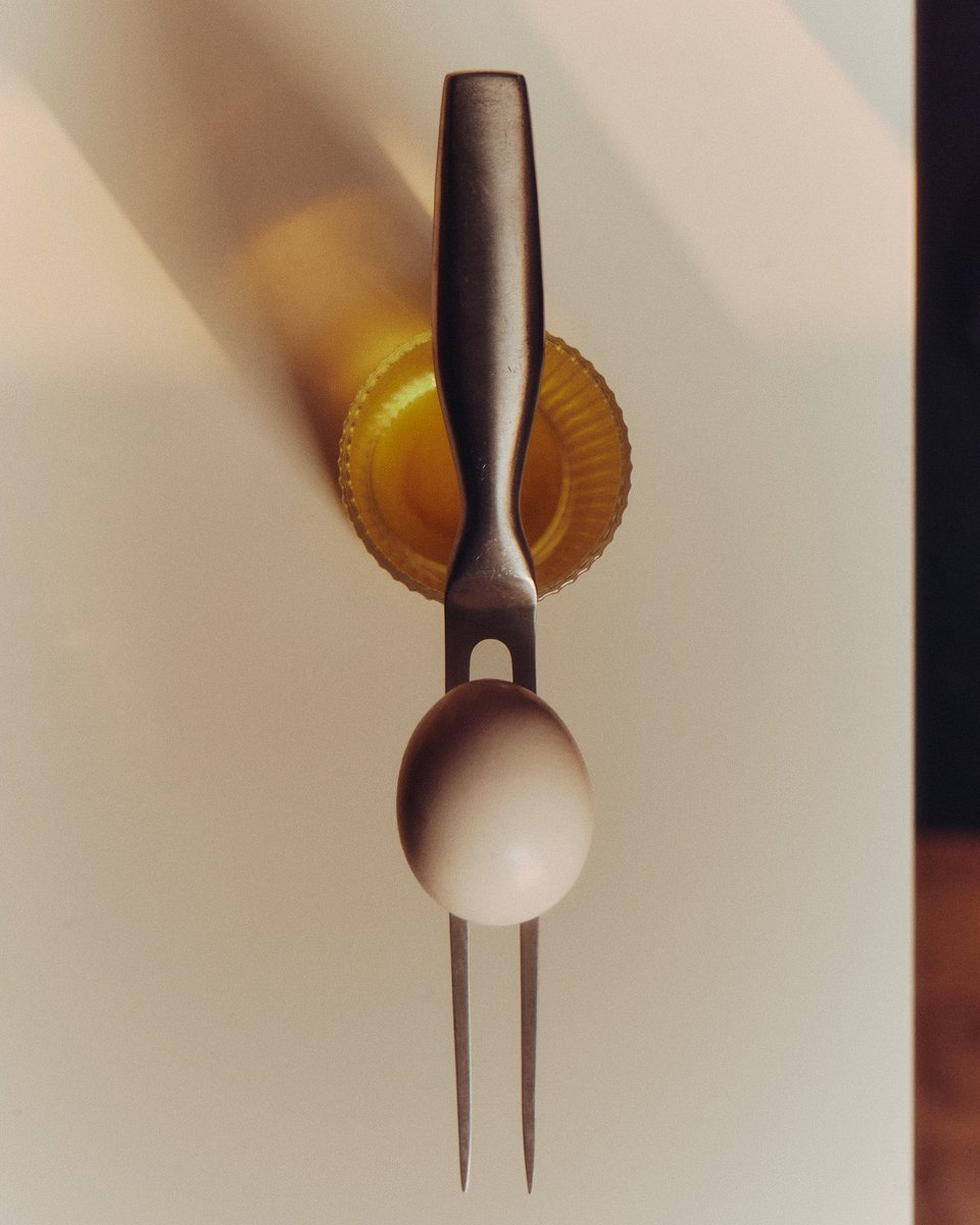 Some of my recent still life work 🌹