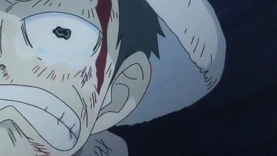One Piece Daily tweet media
