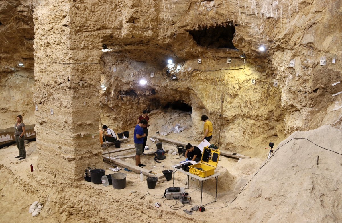 3CatInfo's tweet photo. El crani de neandertal trobat a Capellades ha resultat ser un cérvol: "Ens vam equivocar" https://t.co/sFBLXii3YX https://t.co/sICmsy856M