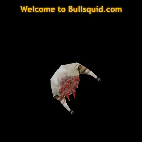 dboivids's tweet photo. back on that #bullsquid grind https://t.co/0yVgDK5HIn