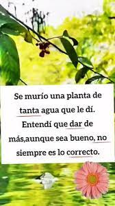 Lidis_Margoth's tweet photo. Lunes festivo!!!! https://t.co/YbSYeK9ph8