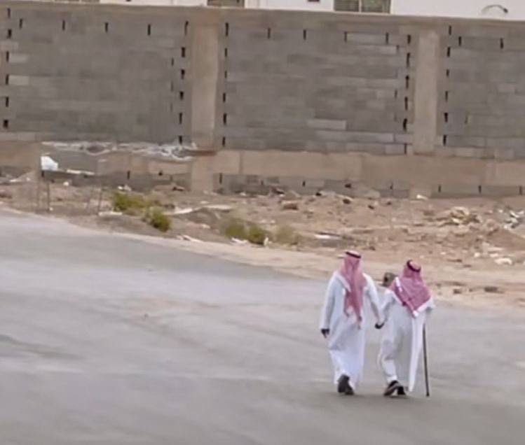 انا دربّك وانا سلمك وانا حّربك وانا منفاك
وانا بينك وبين الحزن والعبرات والضيقة