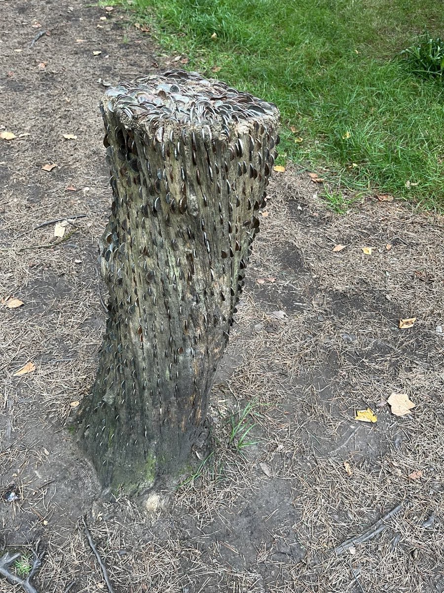 Rebecca Van Homan FCCT tweet media