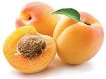 Apricots, although having traces of tartness when savoring their fruit-meaty juiciness, yet their host of health benefits might just save you a buck or two from paying the doctor a constant visit.

Click on the link to see why.

facebook.com/share/p/9JyWUe…