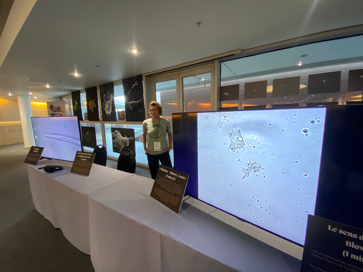 Living Like An Amoeba landed in Cape Town - come check out our crazy amoebae dances and stories at the ISME19 conferences in the CTICC 🔥☄️🦠