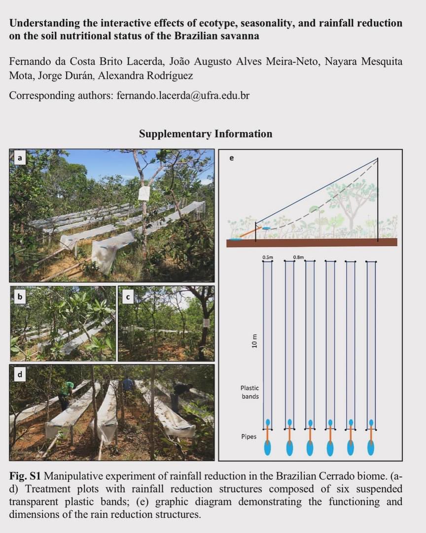Alexandra Rodríguez (@xandrouva) on Twitter photo Happy to see this article from Fernando Lacerda’s PhD theses finally published. Free access to the full pdf here kwnsfk27.r.eu-west-1.awstrack.me/L0/https:%2F%2…
<a href="/mbg_csic/">Misión Biológica de Galicia - CSIC</a> Happy to see this article from Fernando Lacerda’s PhD theses finally published. Free access to the full pdf here kwnsfk27.r.eu-west-1.awstrack.me/L0/https:%2F%2…
<a href="/mbg_csic/">Misión Biológica de Galicia - CSIC</a>