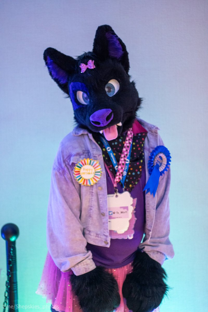 TylerWusky's tweet photo. Cameras flashing at me, got me feeling like a popstar  🎶💜🐾

📸: @blaze_shepsky https://t.co/Zxz3pnngBE