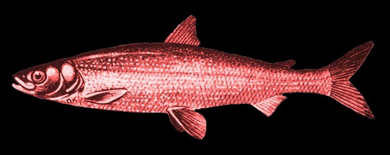 Nothing to see here
Move along