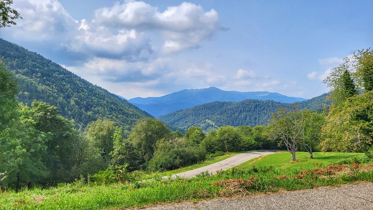 Zoë Westerman 🏴󠁧󠁢󠁷󠁬󠁳󠁿 tweet media