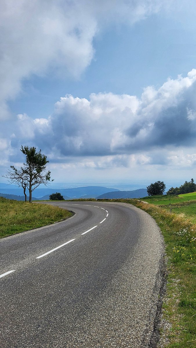 Zoë Westerman 🏴󠁧󠁢󠁷󠁬󠁳󠁿 tweet media