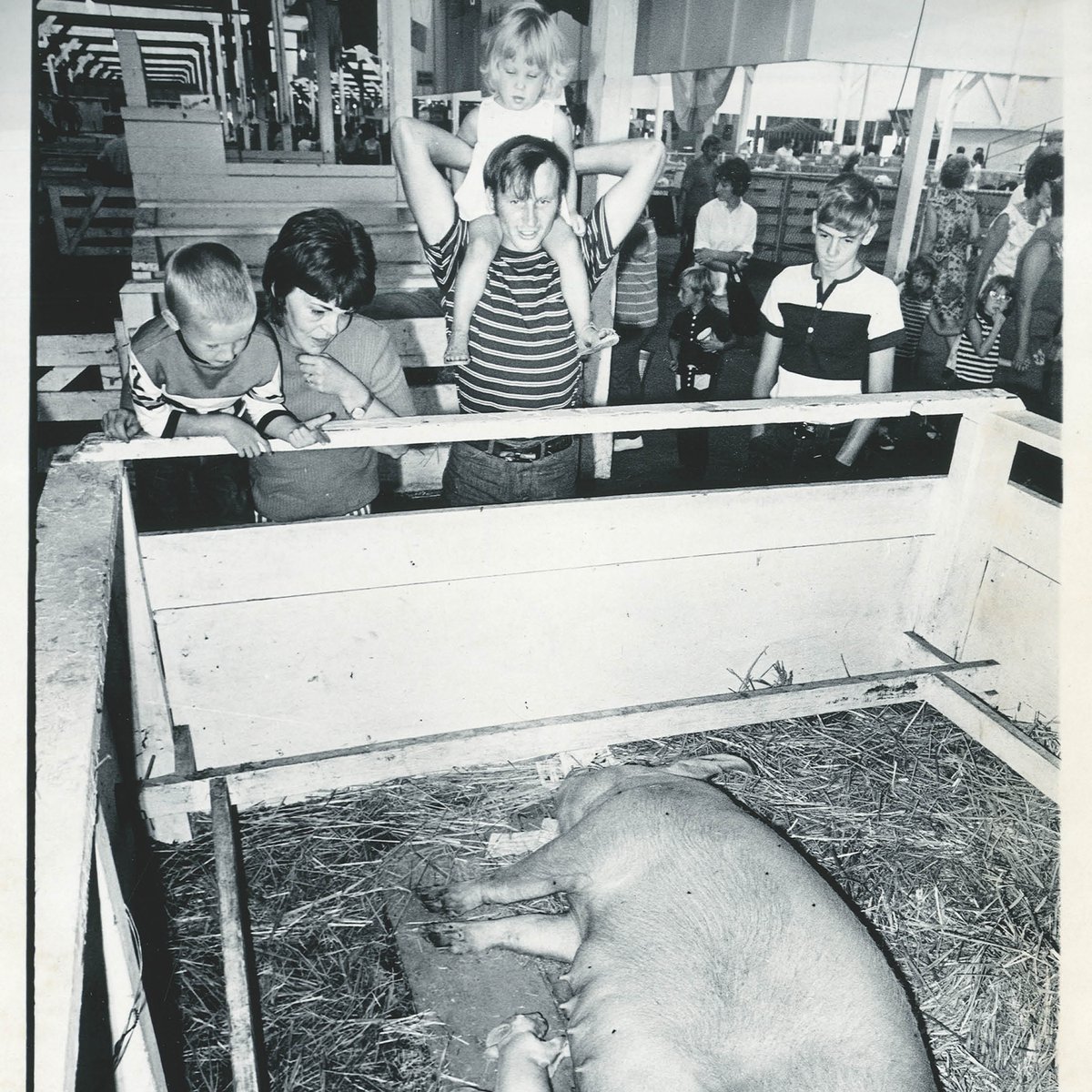 Oregon State Fair tweet media